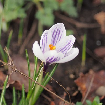 colchicine_4's profile picture. any/all, bi nb
Computer tech, CS student. Louis Rossmann fan.
This is my personal account and thus very random.