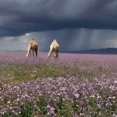 OCDb4plN9JfuQ8Q's profile picture. لا أله إلا الله