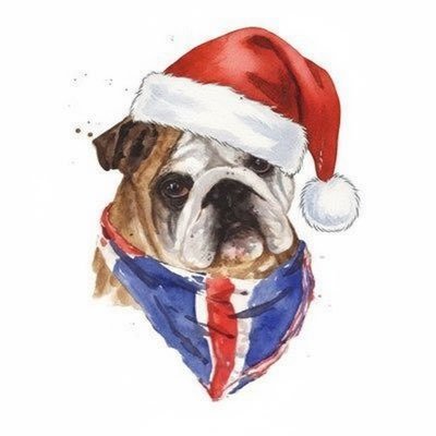 Bulldoggywog's profile picture. Luv me Trump, Luv me Nigel, Luv me Remigration. ‘Ate lefties…. and we are takin’ this fookin’ country back.