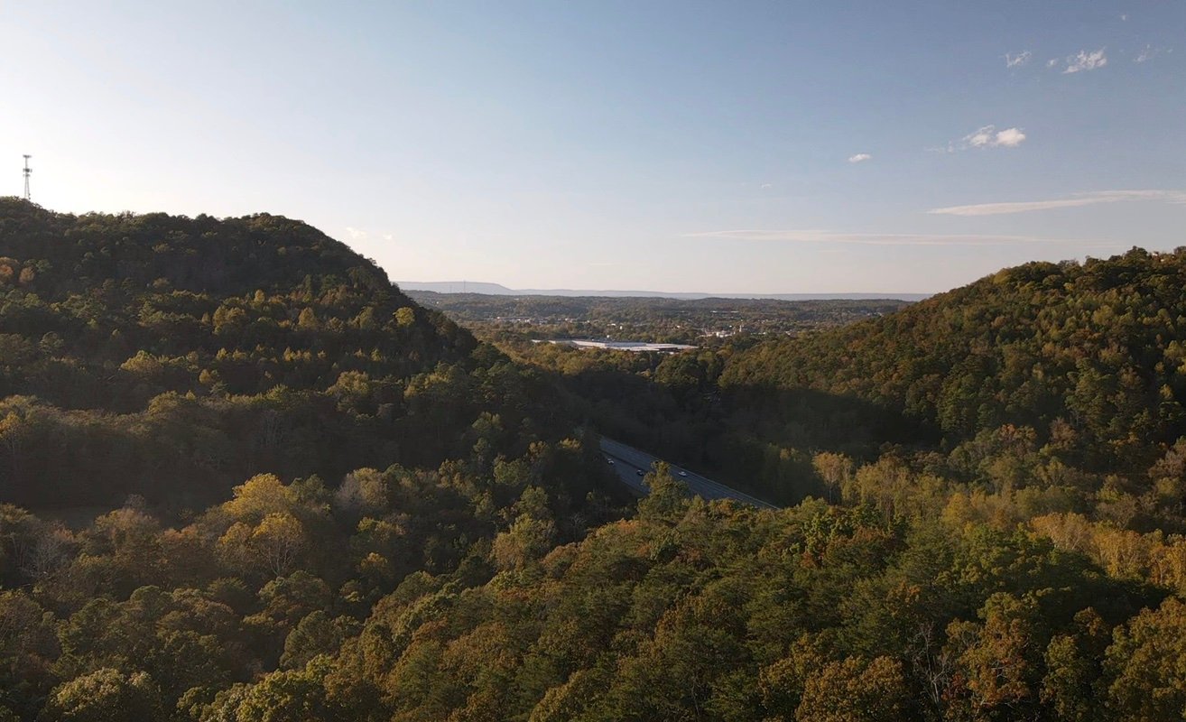 theprofessor346's profile picture. 