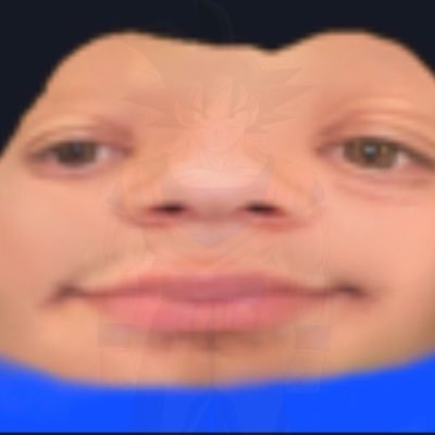 The_Duck2219's profile picture. ☪️ | 16 | That is not me in the pfp | I FOLLOW BACK AND YOU SHOULD TOO | Reply Guy in training | #CLM #CuckLivesMatter 🍋✊ | Priv: @99ddjjss