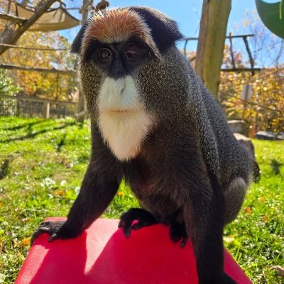 FriendAddict420's profile picture. 