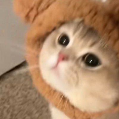 bxnnyy_b's profile picture. ติ่งไปเรื่อยจนกว่าจะพอใจ💖