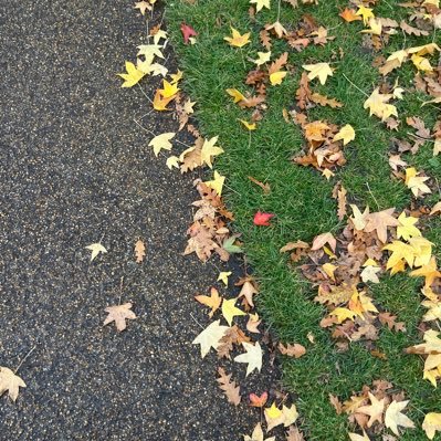 xthealya's profile picture. 