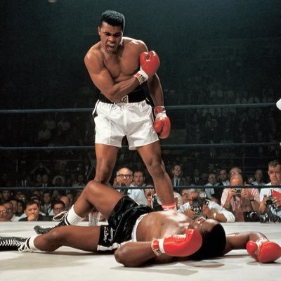 Majestylion66's profile picture. Momento Mori, Momento Vivere🥀