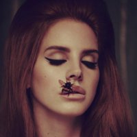 cinnamonboy ⸆⸉ (@snowatthebeachh) 's Twitter Profile Photo