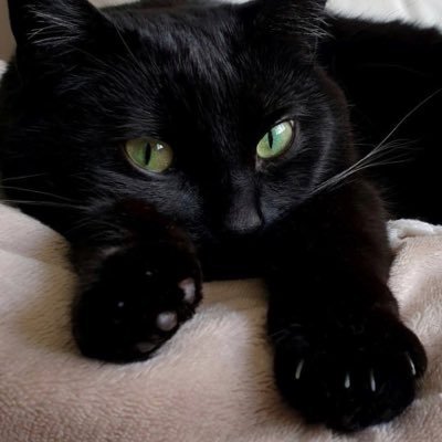 mwb1520129's profile picture. تحت وطأة مشاعر لاحكم لي عليها