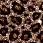 f2_xpp's profile picture. 