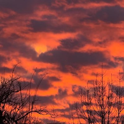 lphine14802's profile picture. 