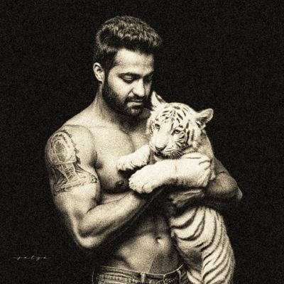 daya_1862's profile picture. NTR
