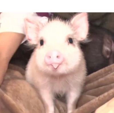 gimyeon16559991's profile picture. 