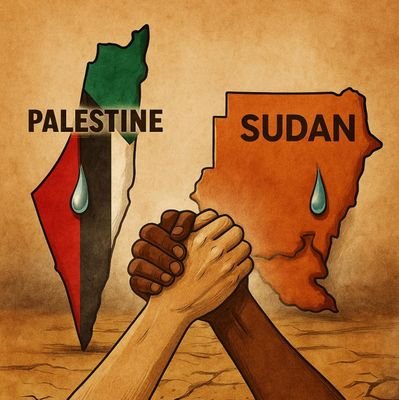 sabahattin28622's profile picture. 