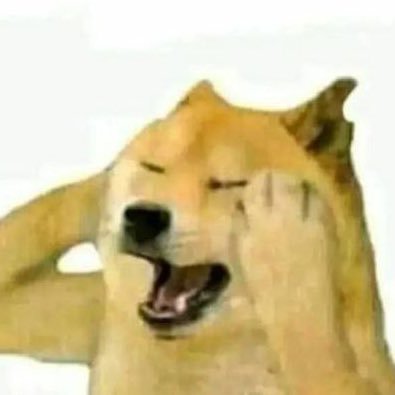 Cricket__Pundit's profile picture. Cricket, Politics and Cricket (If you follow I will follow back) trying to build content brand - currently zero followers