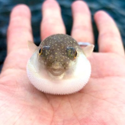 _tametama_'s profile picture. 