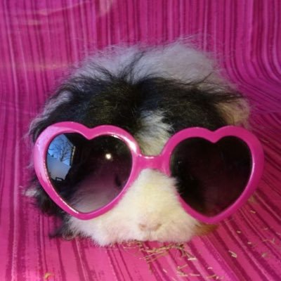 ifyoureallyyy's profile picture. 엄마가넘못나가서미안해아들