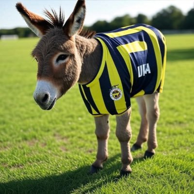 SIKECIFENER5461's profile picture. 