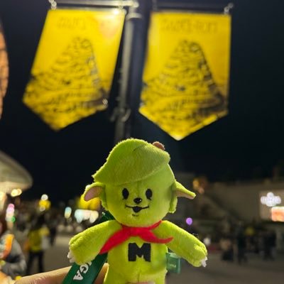 AORINGOYU's profile picture. 20↑ Mrs. GREEN APPLE 🩷野口衣織 💎永田詩央里 取引兼 開封時手袋着用、同日発送・発送証明のご提示をお願いしております。