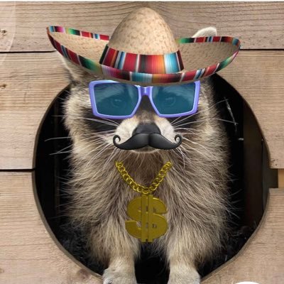 Roguemomma1's profile picture. Snark enthusiast, crime & legal junkie. Mom battling POTS, EBV, and a '90s rock-loving teen. Dishing out spicy X drama with the ball squad