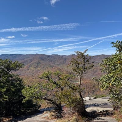 yw2119's profile picture. 