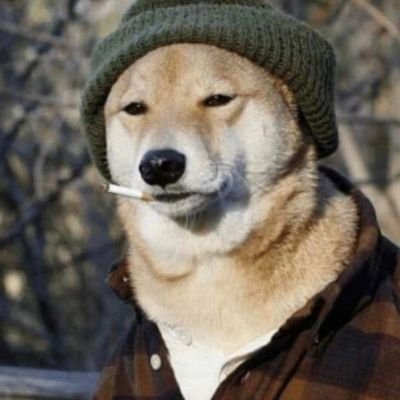 Aja07_stark's profile picture. MOEEN ALI STAN 🐐