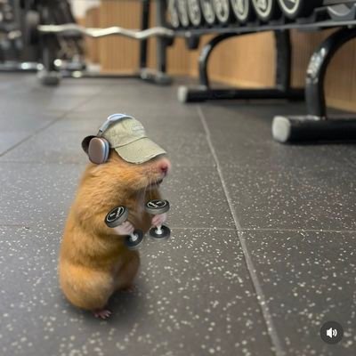 Kolawolesarah71's profile picture. 