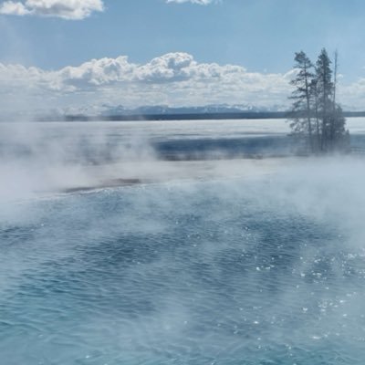 Mink3467's profile picture. 