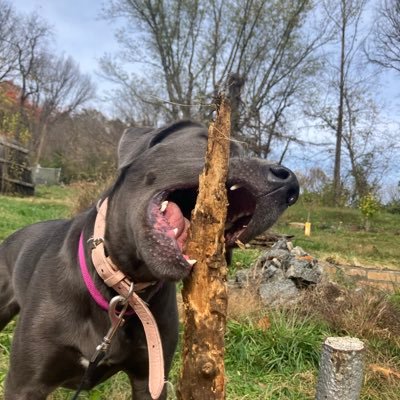 sdbooking77's profile picture. 