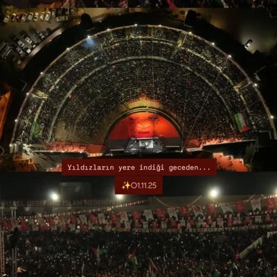 hulyaasan499557's profile picture. Cf