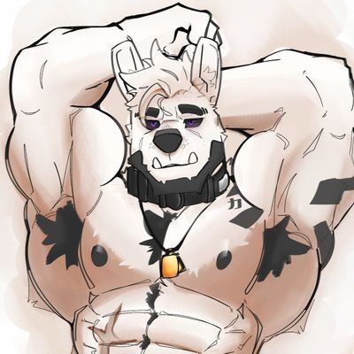 B4ND_3R's profile picture. 𝙰𝚛𝚝 𝙽𝚂𝙵𝚆,𝚂𝙵𝚆.🎨 No minors🔞 English/Español. 
Amante Of Sharks.
 Wolf Artic
𝕎𝕖𝕝𝕔𝕠𝕞𝕖....~
_____________________