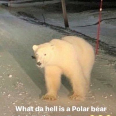 mally_vee's profile picture. 