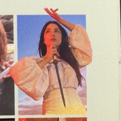 override_user's profile picture. simulation diary