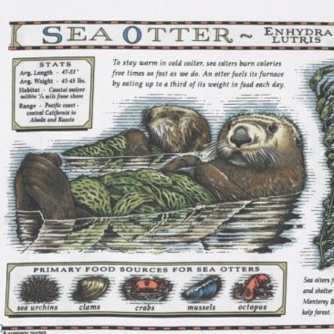 Opalite2212's profile picture. Making my own sunshine ❤️‍🔥✨ Taydefender 🫡 Gen X Swiftie but also a Rocker 🖤