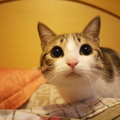 Xxmadidmixx's profile picture. 🇵🇸 
AHOI!
https://t.co/NXctE6q0OS