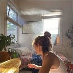 Celau8604021's profile picture. 