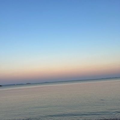 razi_hikmet's profile picture. 