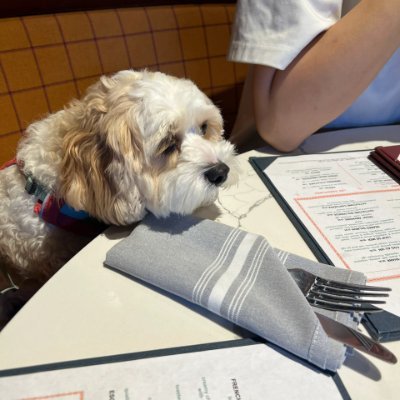 RSKlKEa's profile picture. 