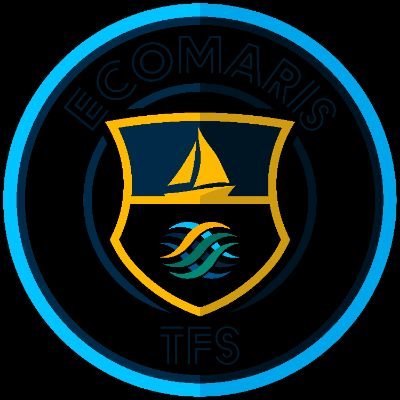 TFS_EcoMaris's profile picture. Eskippers de la fusion Team Fort Sympa et ÉcoMaris sur @VirtualRegatta