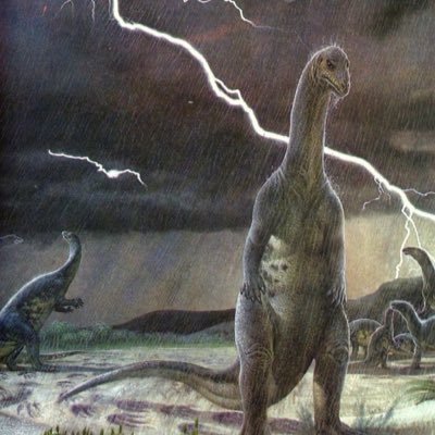 notdrained's profile picture. @raptors @shaiglalex