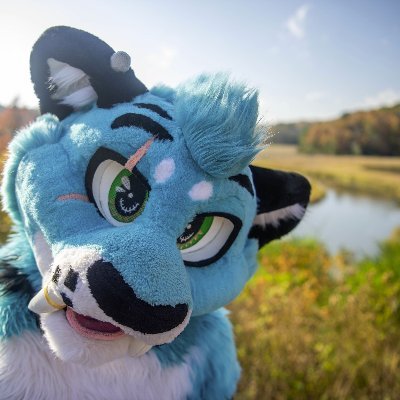 RazzDagon's profile picture. Pan/VA/M.S. Environmental Science/dork/ @KimmiCocoa fursuiter, 26
I just like to be dorky and kitty