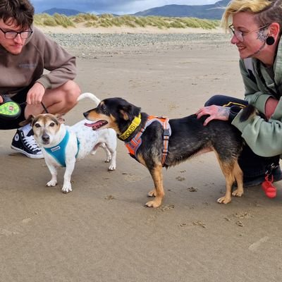 BorderlandCally's profile picture. 💖 BARMOUTH 🏴󠁧󠁢󠁷󠁬󠁳󠁿 🇯🇪JERSEY 💖#TeamZay #ItsAllAboutTheDogs  #ShropshireLass #CharityWalker Mental Health supporter 💞 BE KIND 💞 #BeMoreBurgess