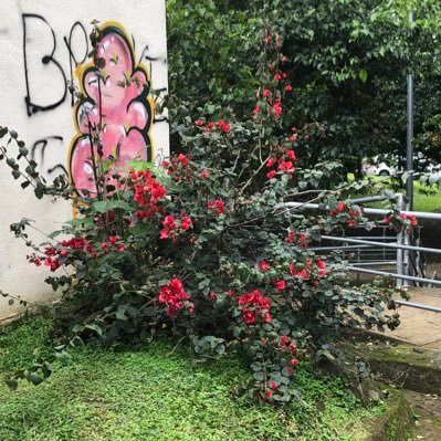 10110110001011m's profile picture. 