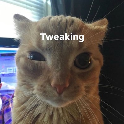 aaronpicao's profile picture. vaya puta mangada
asturias🌳