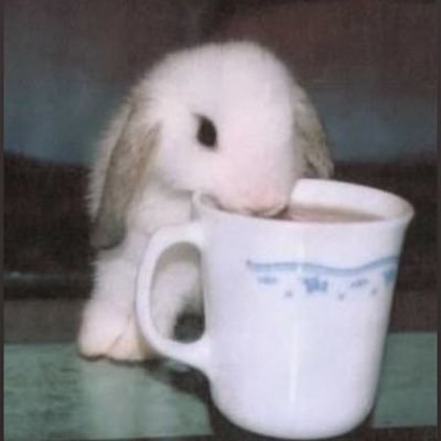 kimberlynxcx's profile picture. im like hey wassup hello