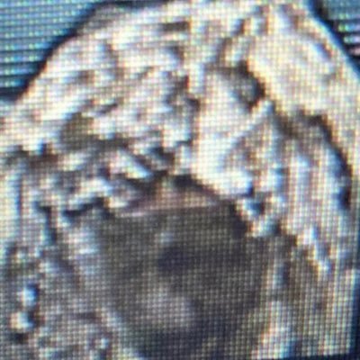 nemzie's profile picture. ryougi shiki is life