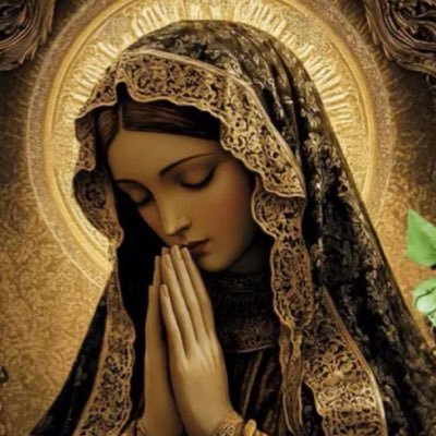 shiny_ponytail's profile picture. God-Family-America