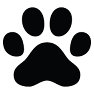 Justgotpaid1965's profile picture. furry starter pack offers..ask for prizes 🔞..Vip buyers offer only 💞