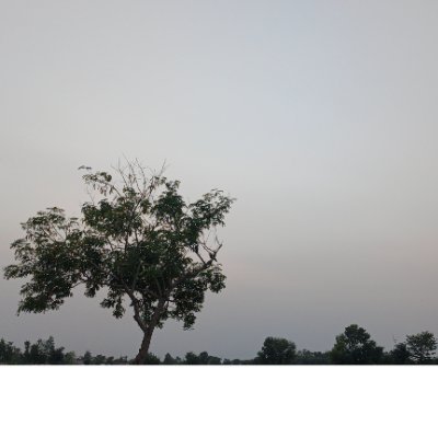 betahistan3's profile picture. poetry lover
Believe in democracy