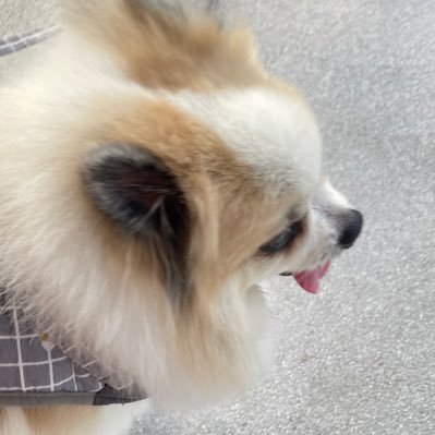 phmcooll's profile picture. 02 👾