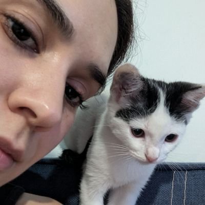 triplecatcrone's profile picture. Coleccionista de gatos y maldiciones.