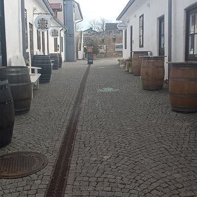 Thomas139778461's profile picture. 